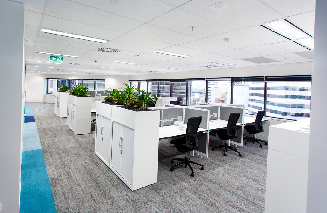 medibank office