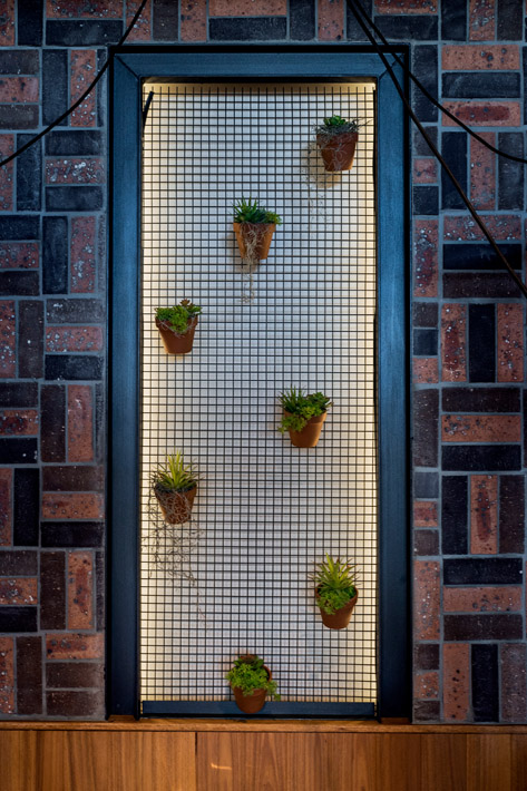 hanging pot plants on the wall